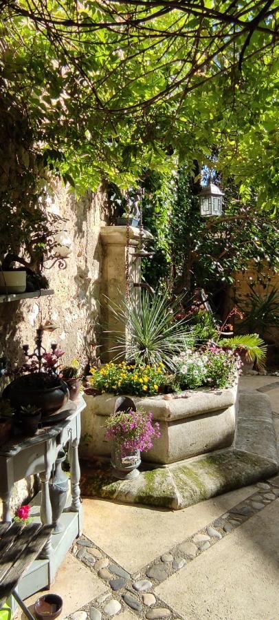 Villa Fontilha Usclas-l'Herault Exteriér fotografie