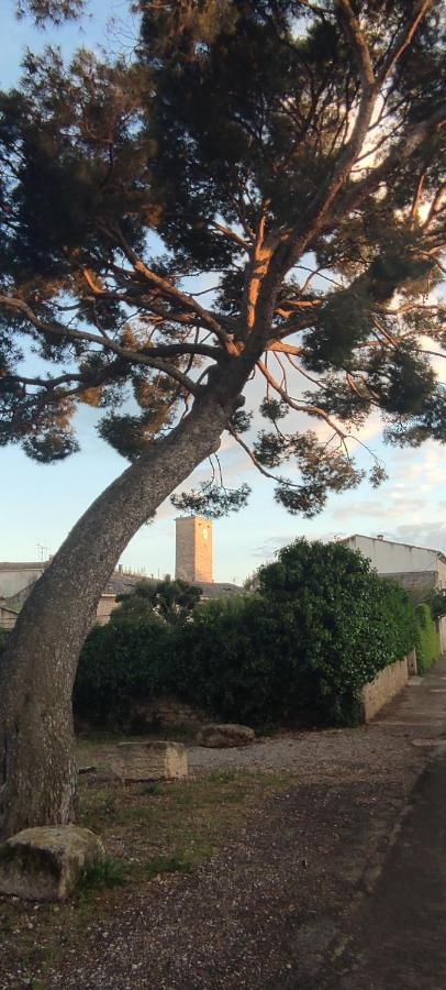 Villa Fontilha Usclas-l'Herault Exteriér fotografie